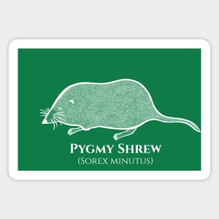 Pygmy Shrew with Common and Scientific Names - rodent art Sticker